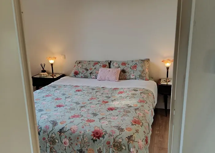 アパート Au Secret Du Levant, Piscine,gym Et Zenitude ガイヤック